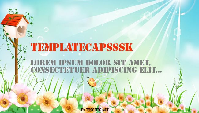 TemplateCapsSSK example
